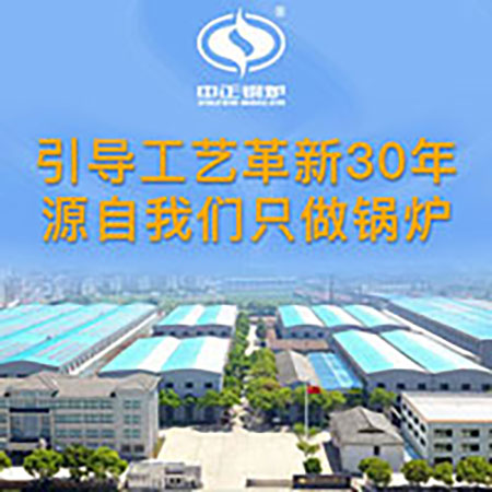 沼气锅炉型号