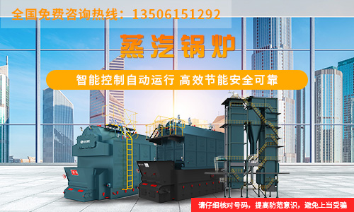 6吨燃气锅里价格