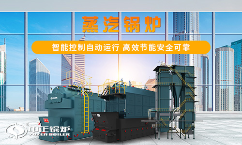 山东泰安燃气锅炉厂家